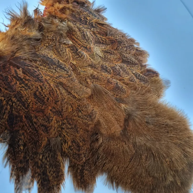 Whiting Coq de Leon Hen Soft Hackle with Chickabou in Speckled Burnt Orange-8